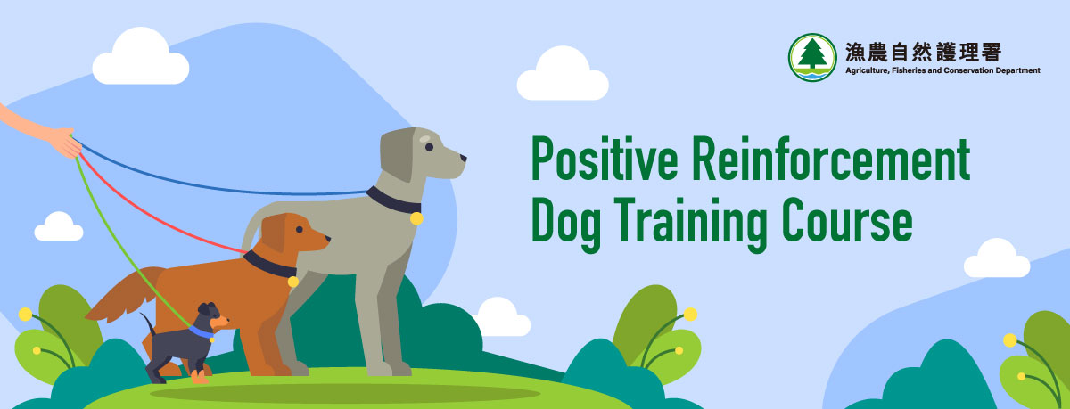 Positive Reinforcement Dog Training Course